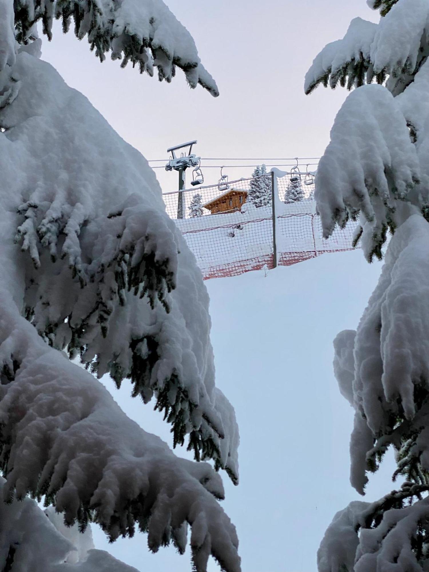 Naturhaus Loacker Lech am Arlberg Eksteriør bilde