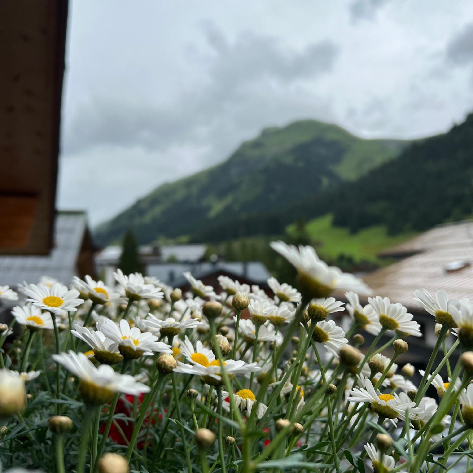 Naturhaus Loacker Lech am Arlberg Eksteriør bilde